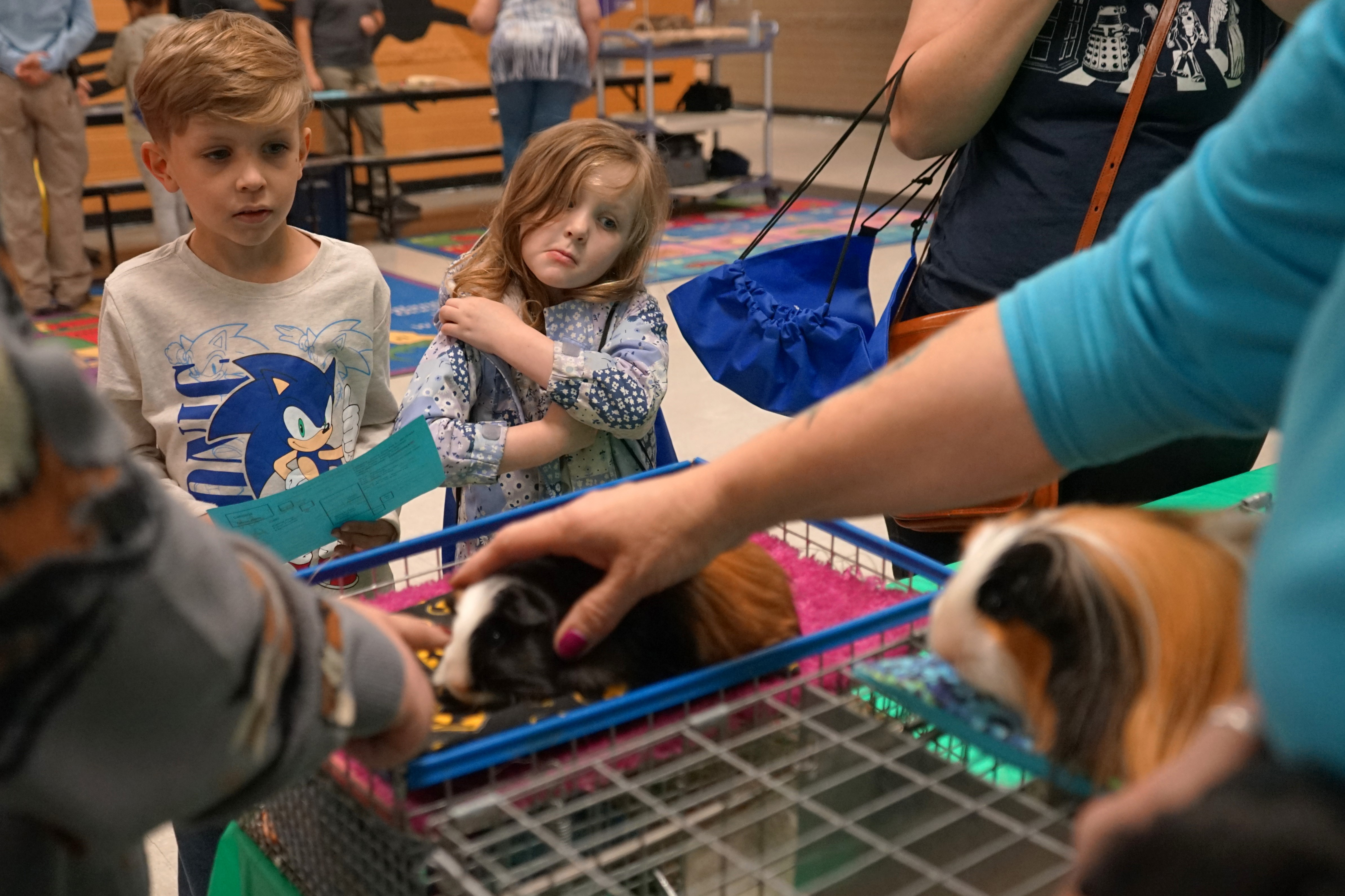 Students gather around to pet a guinea pig